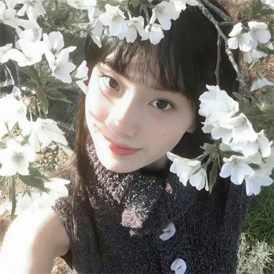 明星大侦探第一季