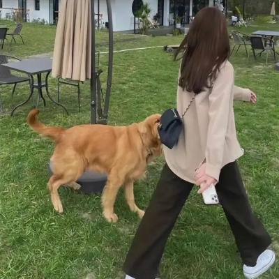 三个新娘一个老爸