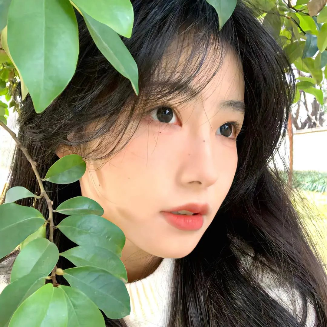 怪诞夏日